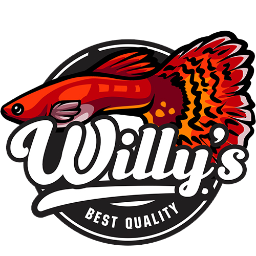 Willy's Premium Fish Food
